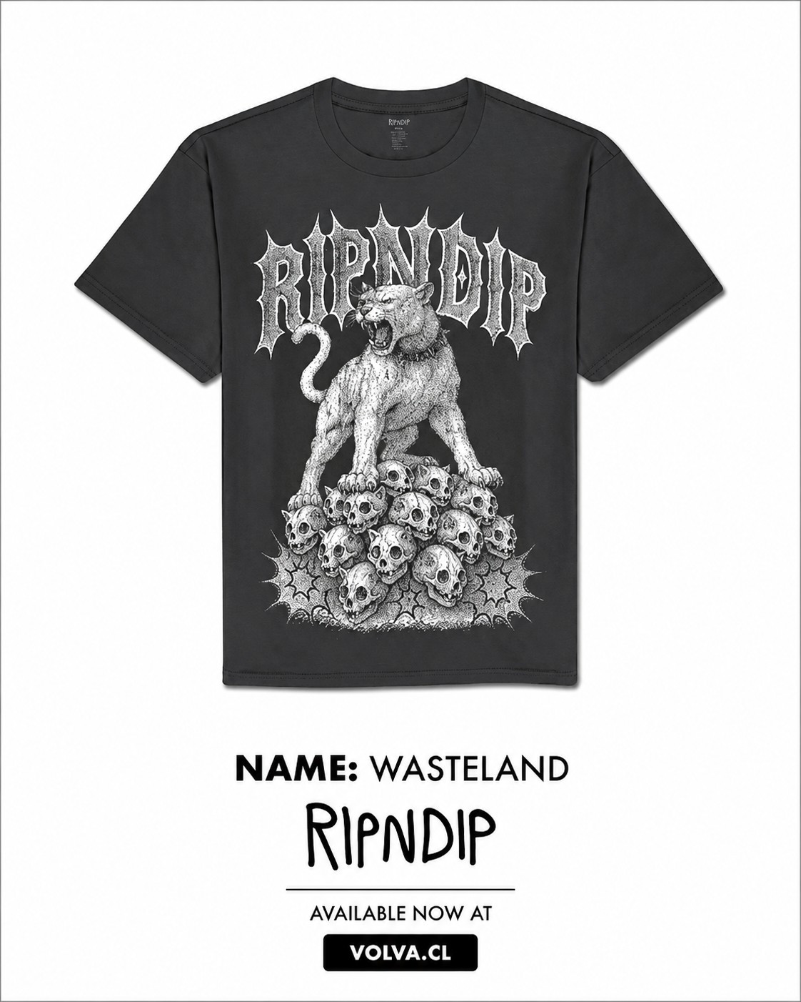 RIPNDIP Polera Wasteland Tee (Charcoal)